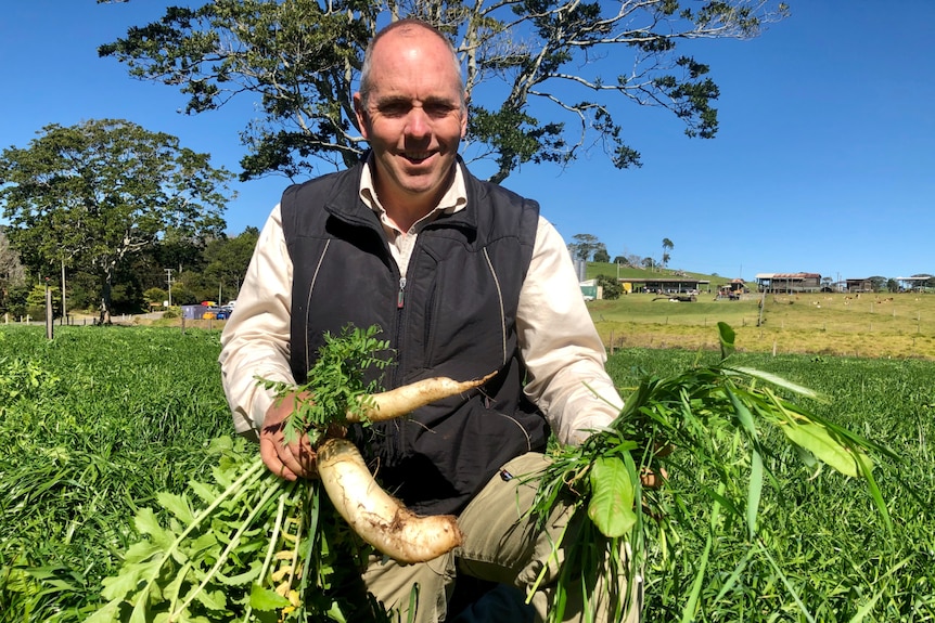 Man crouches in lush paddock holding up radishes, grasses and leaves.