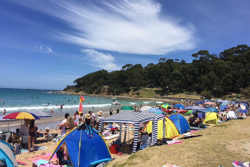 Sun shelters lined the beach at Lorne.