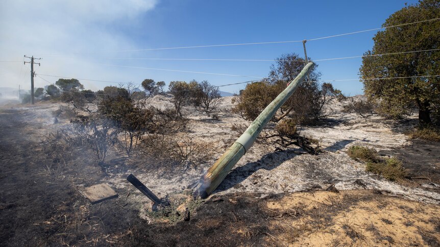 A power pole and wires slant down onto sandy charred ground and scrubby low bushes under a bright blue smoky sky