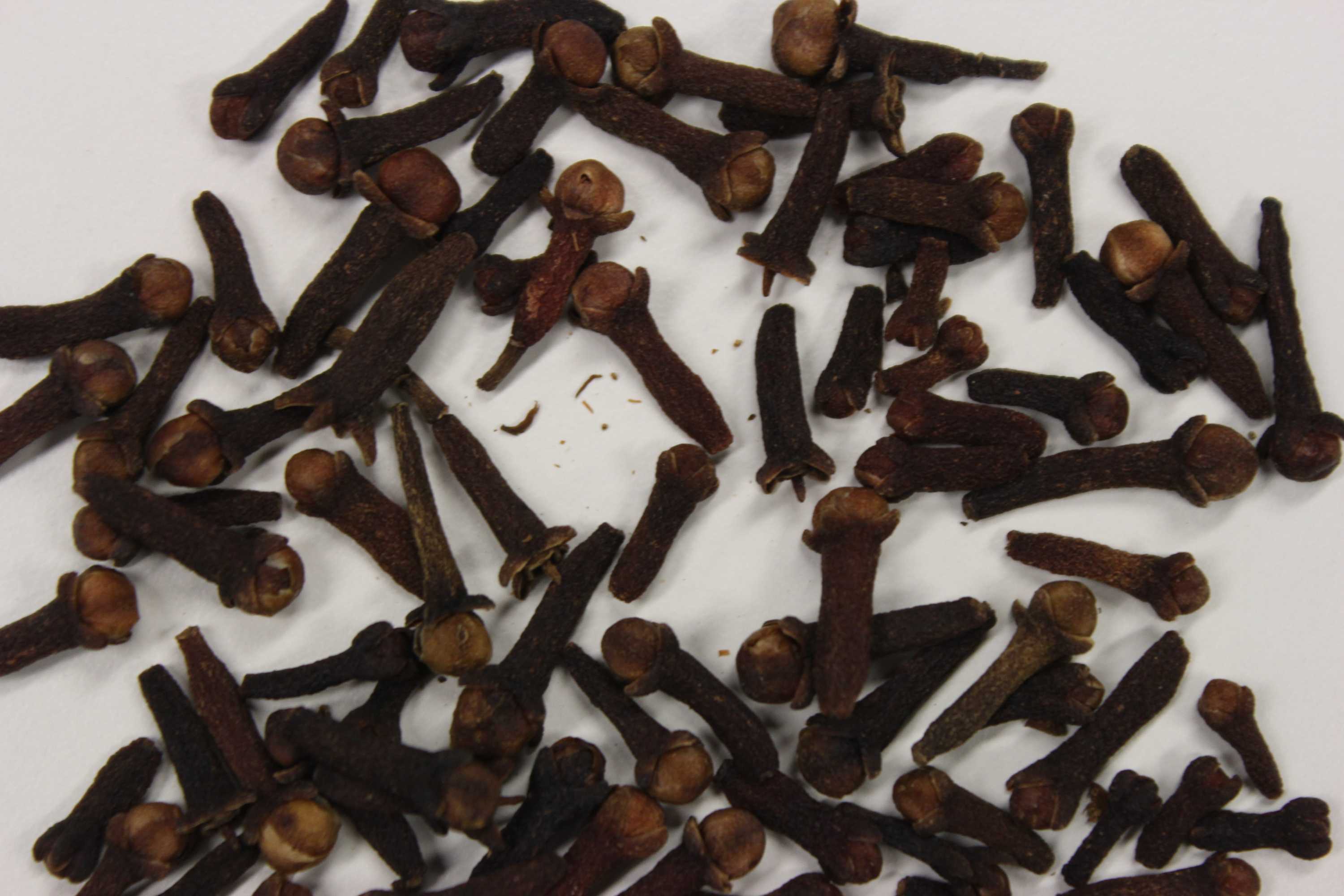 The kings of cloves A look into Indonesia's clove empire ABC News