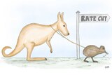A New Zealand kiwi bird leads an Australian kangaroo towards a sign saying 'rate cuts'.