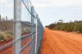 A link fence stretches into the distance beside a red-dirt track and low scrub.