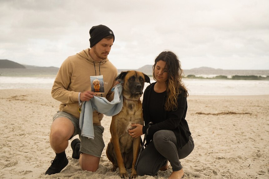 A man and a woman on a beach, kneeling beside their dog.