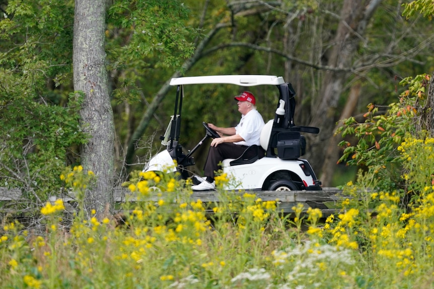 An older man in a white golf shirt and red cap drives a golf buggy along a wooden track between trees and bushes.