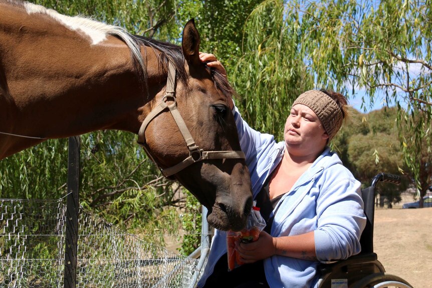 A woman feeding an injured horse.