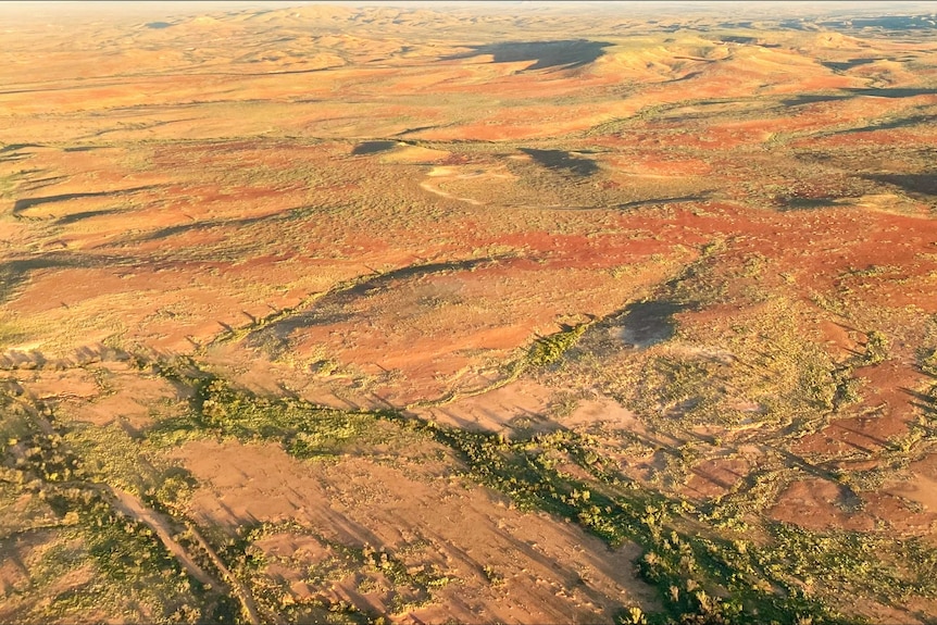 An overhead view of the South Australian outback.
