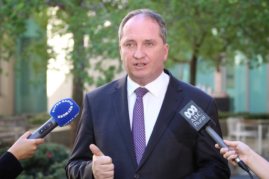 Barnaby Joyce speaking at a press conference in the Senate courtyard at Parliament House, Canberra.