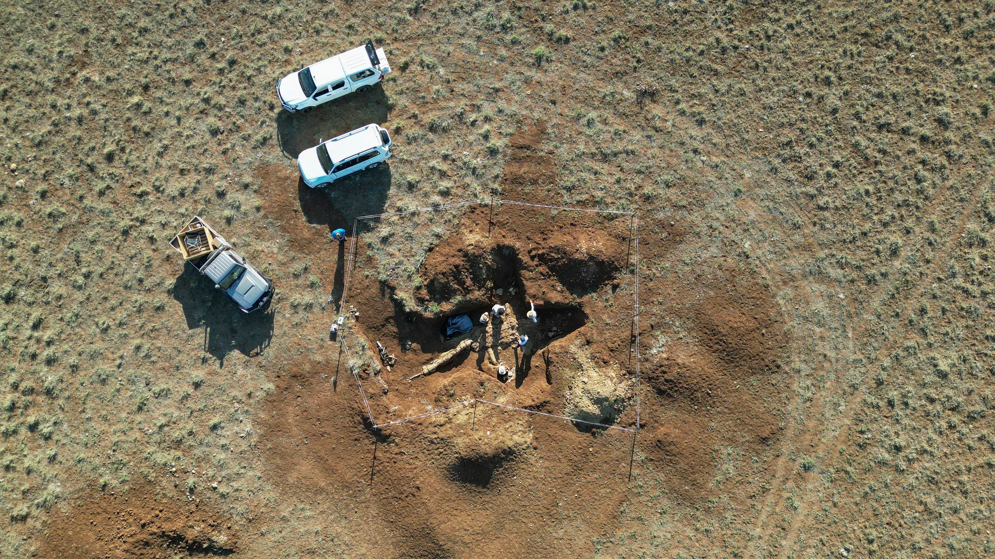 Australia S First Complete Plesiosaur Fossil Discovered In Outback   Efb71754b636cef0db2b5638d3461fa0