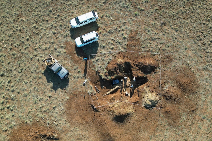 Drone shot of dig site showing large fossil in ground