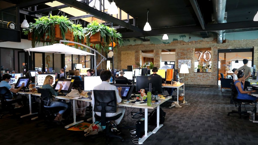 People sitting in an open-plan office sketching on screens.