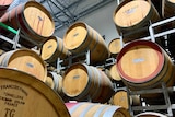 Wine oak barrels at Leogate Estate Wines