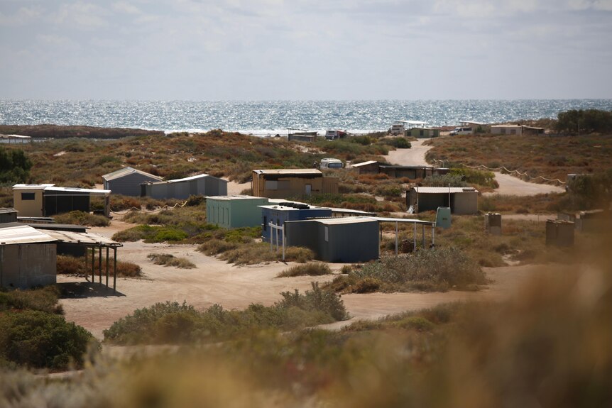 A beachside campsite with haphazard tin shacks scattered amongst coastal scrub