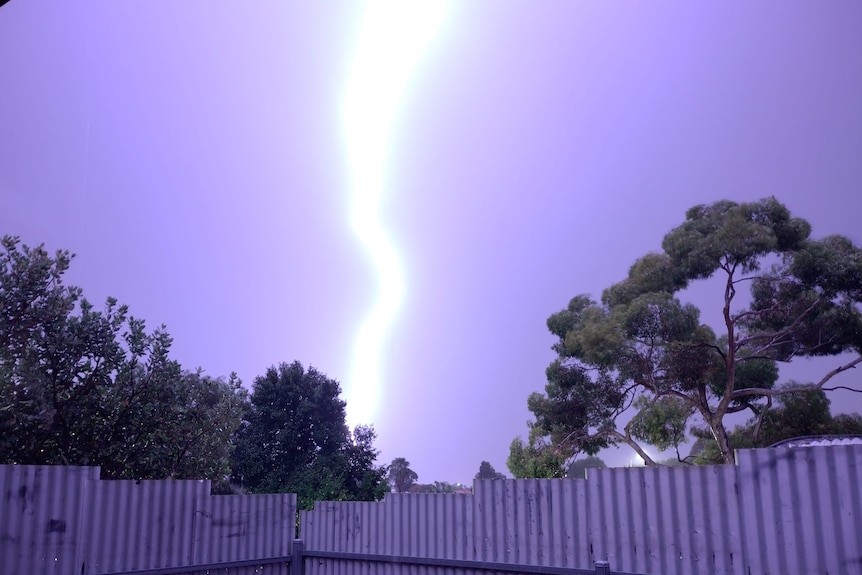 Lighting strike during morning thunderstorm overlooking Morphett Vale in Adelaide, fence at bottom, trees to the side