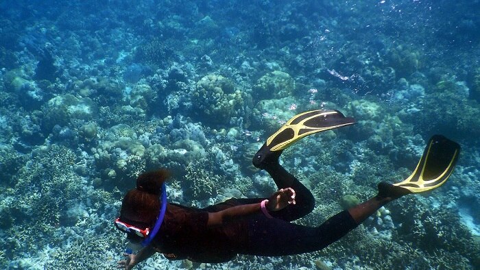 Woman in scuba gear underwater surveying the reef 