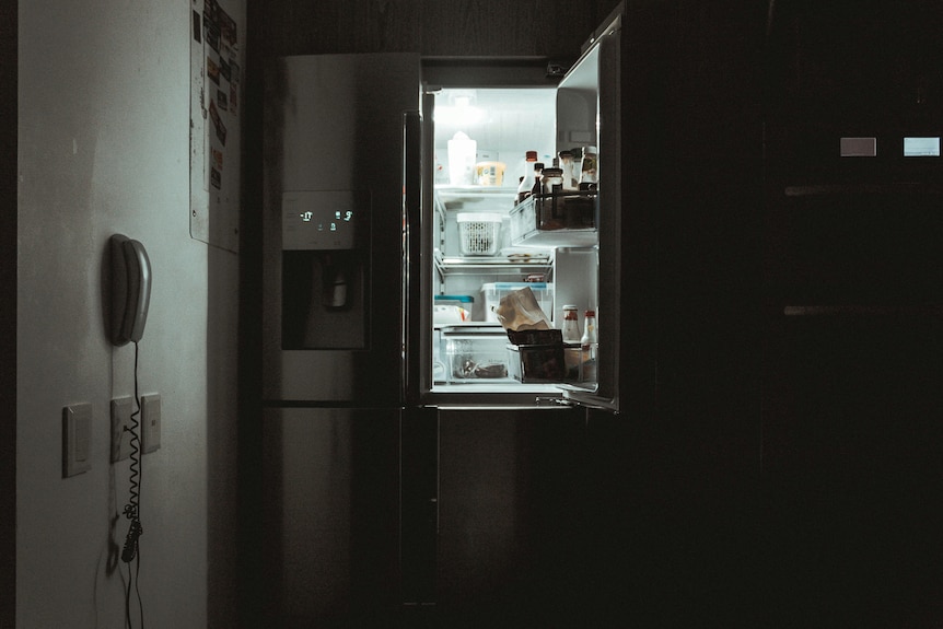 A fridge with the door open and food inside