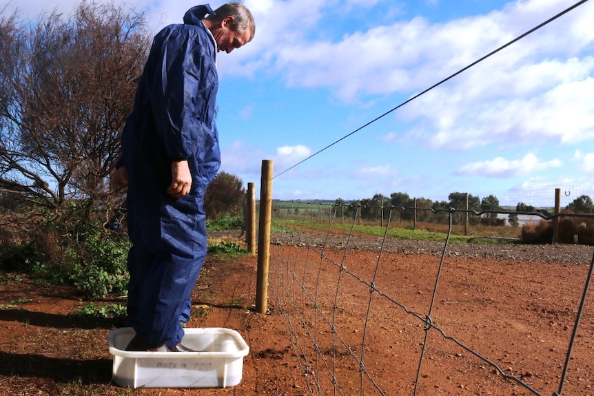 Grain Producers Australia chairman Andrew Weidemann