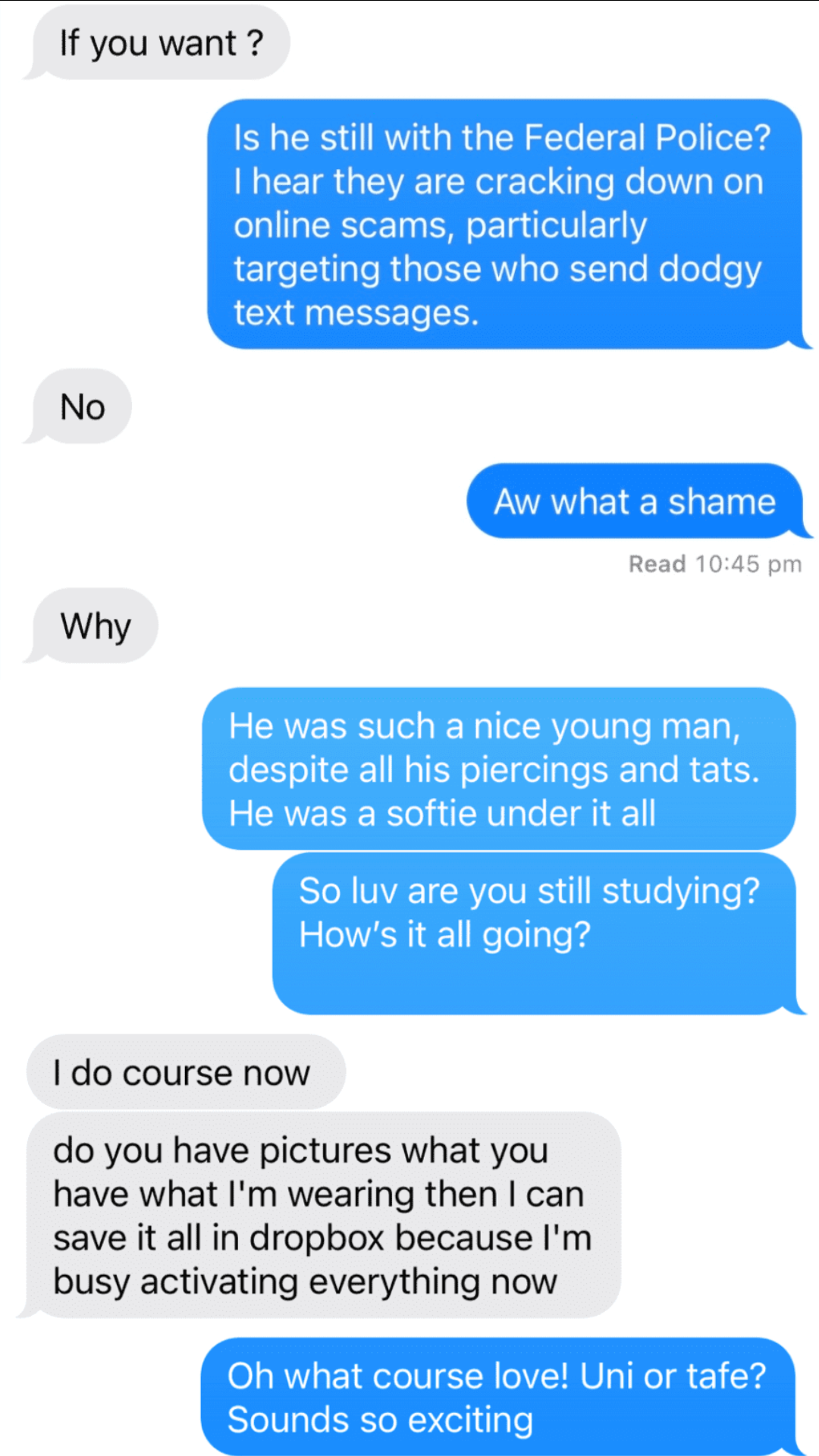 A screenshot of a message exchange between two people, one of which is a scammer
