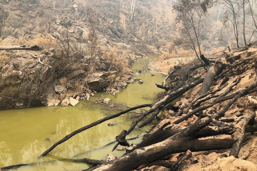 Green creek water among burnt and broken vegetation form a bushfire that's also tarnished rocks in a gully.