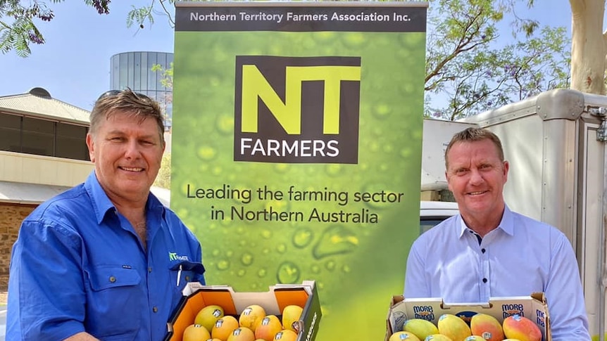 two men holding boxes of mangoes.