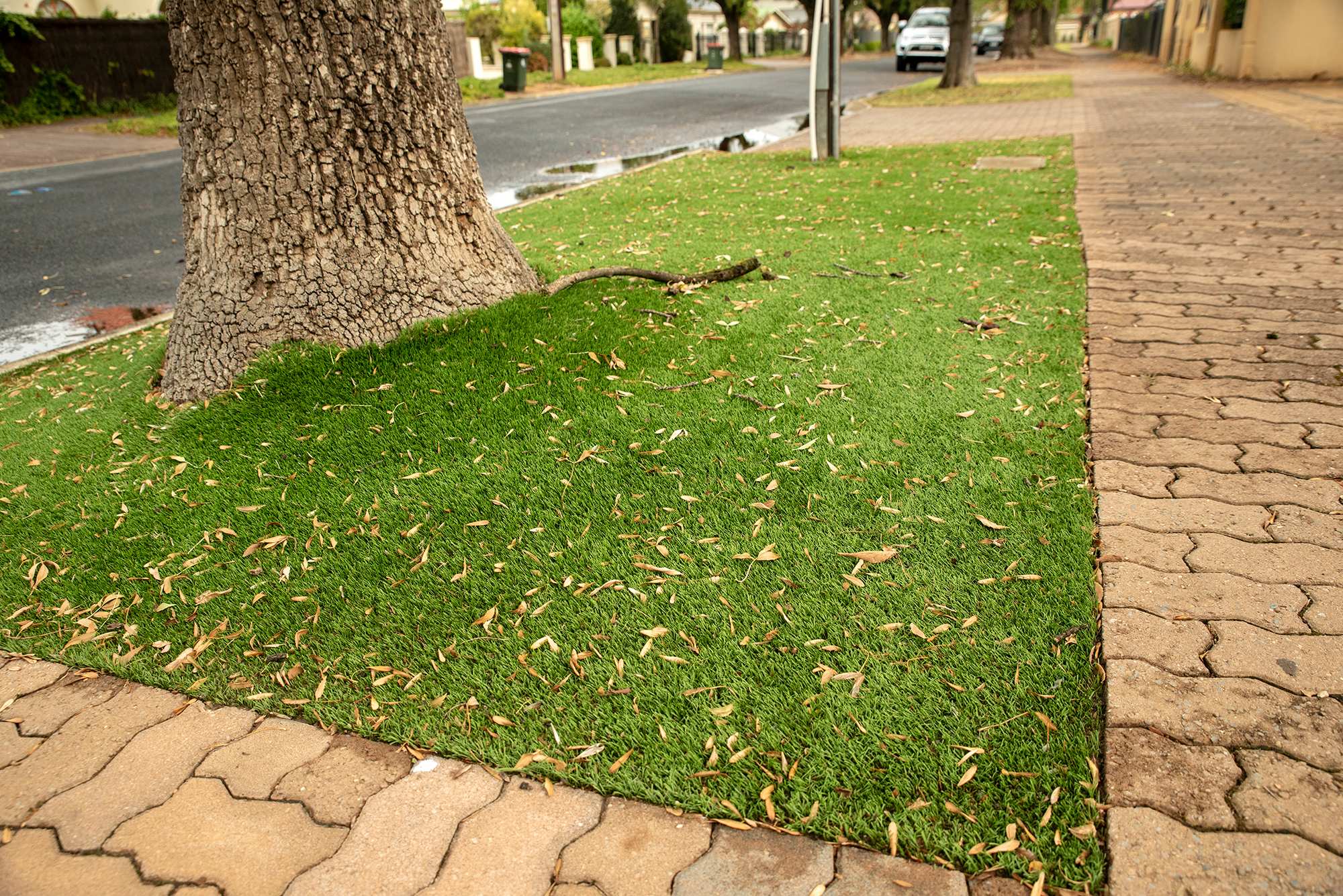 Synthetic grass used on verge