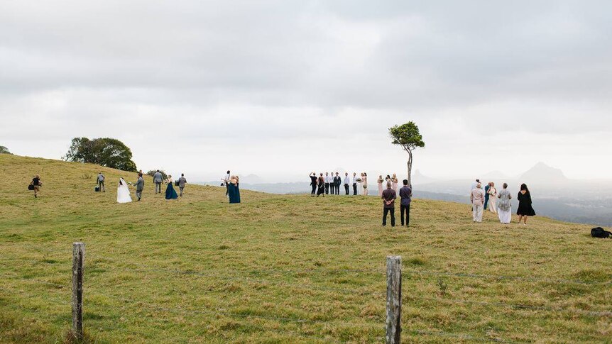 Five bridal parties being photographed in the paddock around one tree hill overlooking the Glass House Mountains.