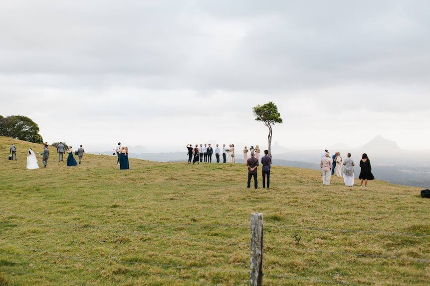 Five bridal parties being photographed in the paddock around one tree hill overlooking the Glass House Mountains.