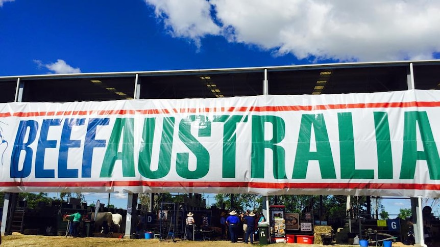 The Beef Australia banner on the side of one of the stud cattle sheds