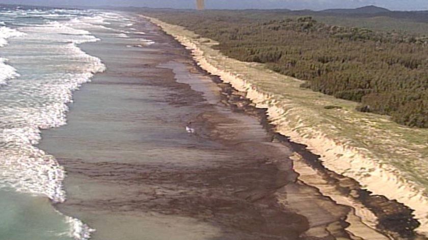Oil slick all along the shoreline on Moreton Island after a cargo ship leaked oil in Moreton Bay.