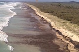 Oil slick coats the shoreline on Moreton Island, off Brisbane.