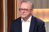 Anthony Albanese during an interview on Insiders