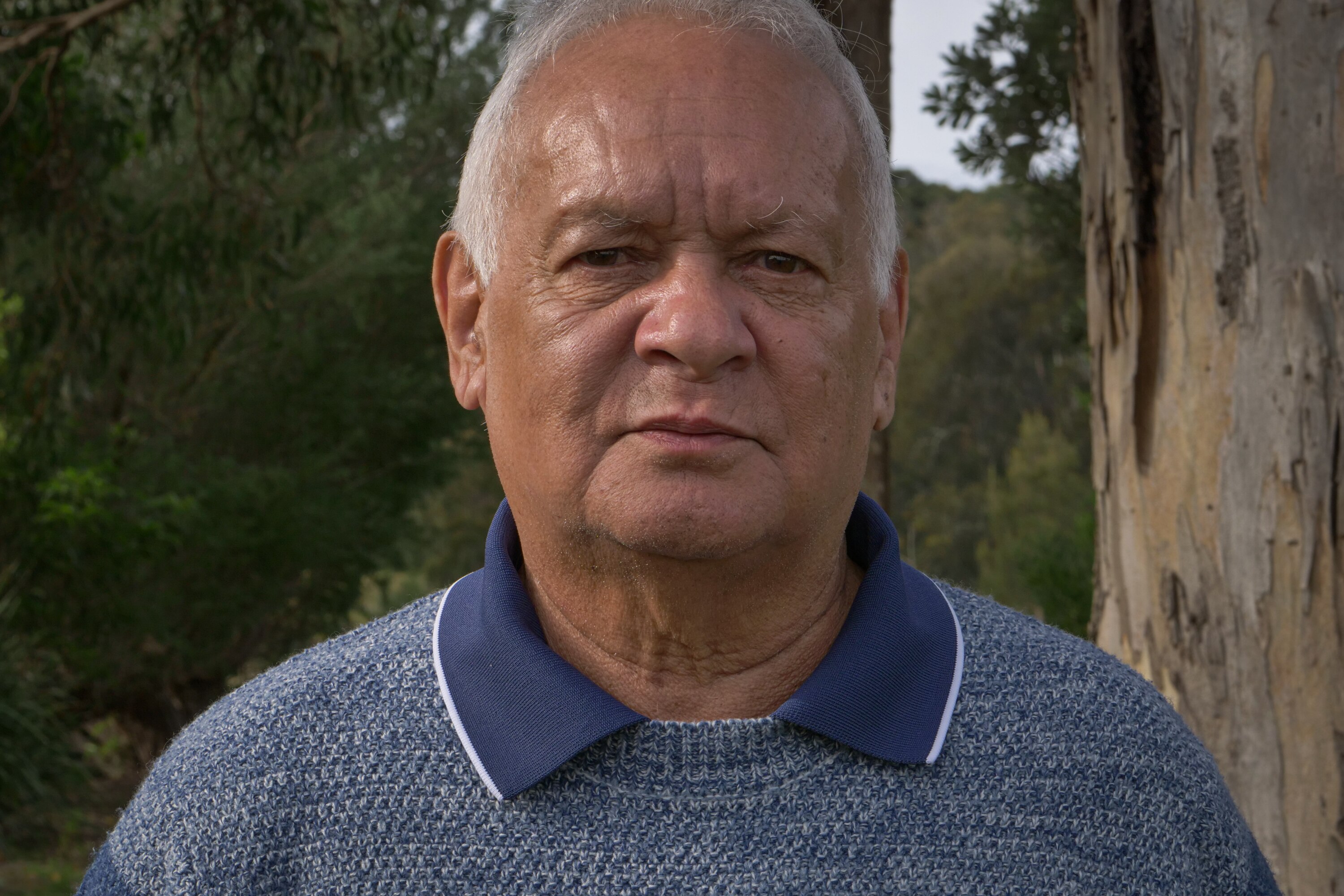 Retrato de un hombre que mira directamente a la cámara de pie entre árboles de eucalipto