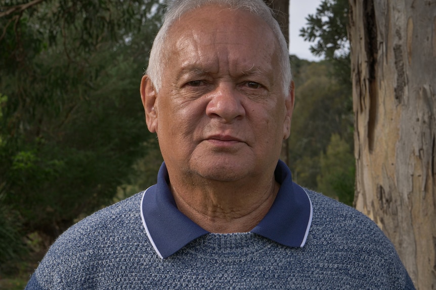 Portrait of man looking directly at camera standing among eucalyptus trees
