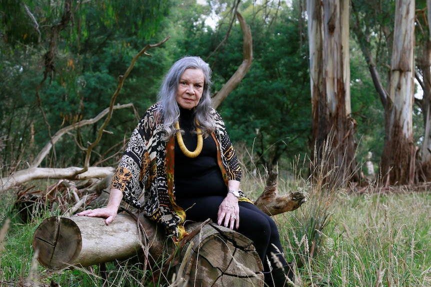 An older Indigenous woman sits on a log in the bush.