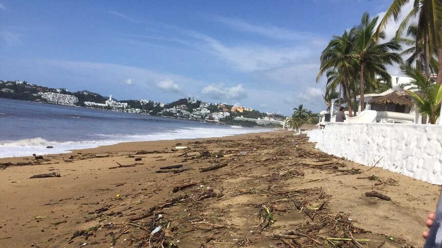 Beach in Manzanillo, Mexico, after Hurricane Patricia