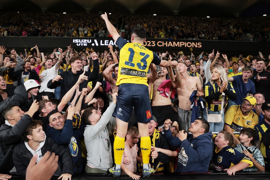 A soccer player wearing yellow and navy blue stands on a fence with a big crowd in front of him