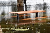 a bench submerged under water due to flooding