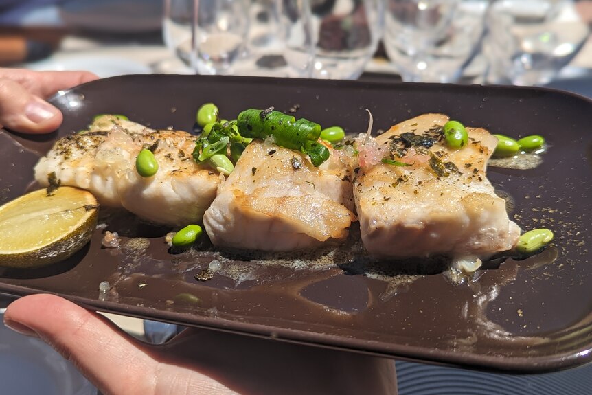 A fillet of cooked Murray cod served on a long flat brown plate with edamame beans, shallots, and half a lime