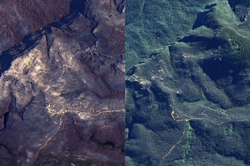 a composite image showing a green mountain scapes against burnt bushland