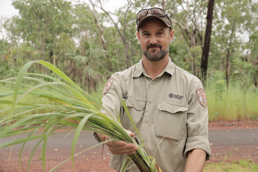 A man in a ranger uniform holds a bunch a gamba grass in front of him