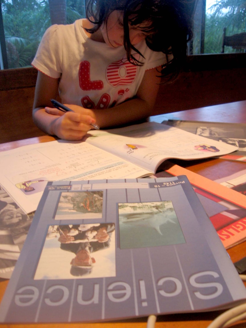 A girl studies using home-schooling textbooks