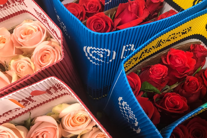 Boxes of roses on sale at a market