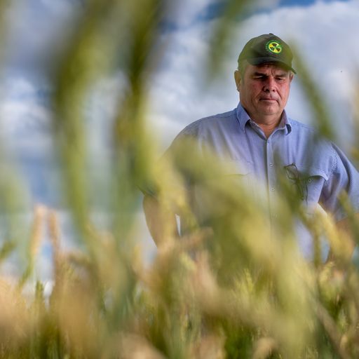Concerns in outback SA grow as federal government plans to store defence waste at Kimba dump
