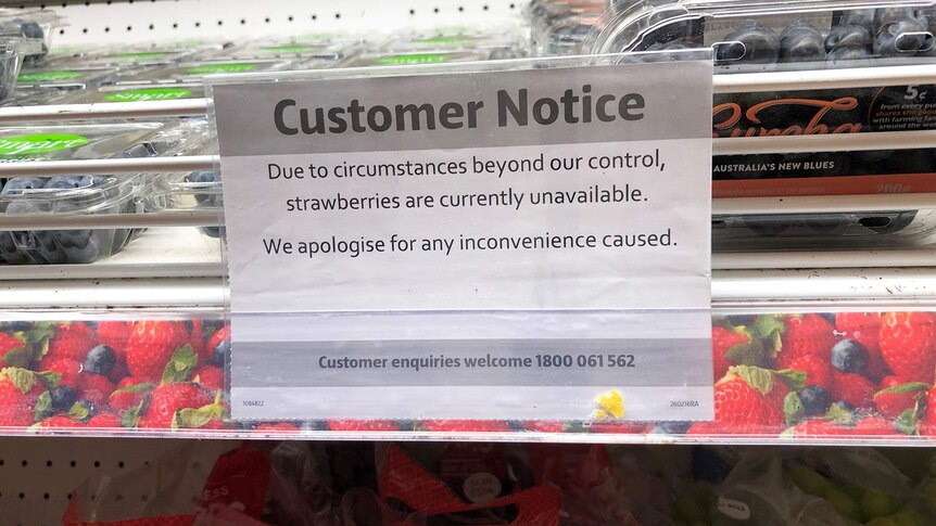 Sign at a Brisbane supermarket apologising to customers for strawberry shortage on September 27, 2018