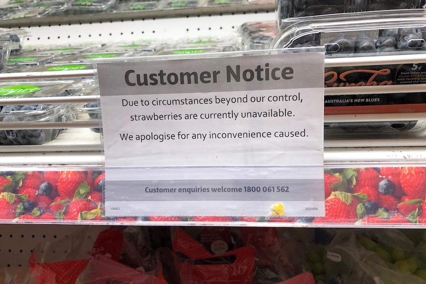 Sign at a Brisbane supermarket apologising to customers for strawberry shortage on September 27, 2018