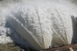 Water being released from a large dam.