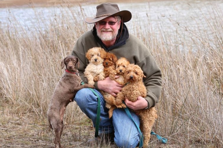 Paul Bartlett crouching down with a group of labradoodles.