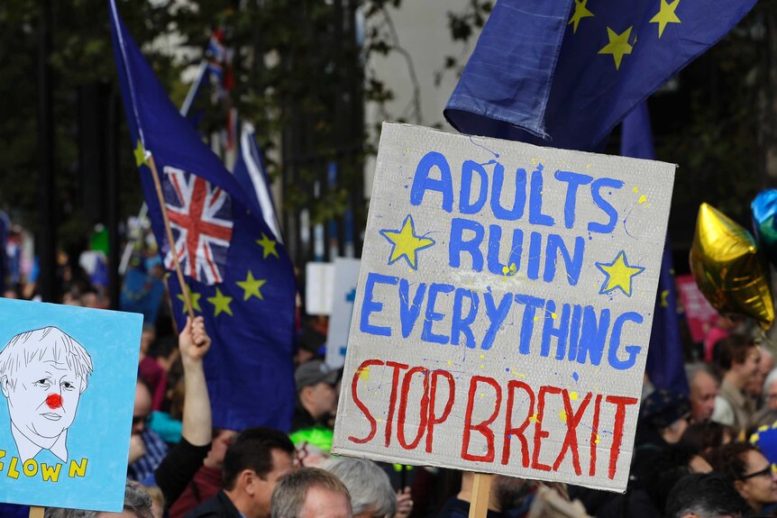 A large sign that says 'adults ruin everything, stop Brexit' at an anti-Brexit rally