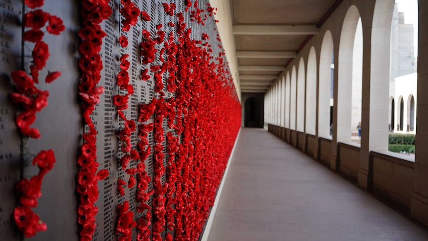 A metal wall with inscriptions of Australian military personnel lost to war, with many red poppies.