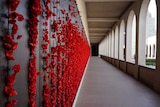 A metal wall with inscriptions of Australian military personnel lost to war, with many red poppies.