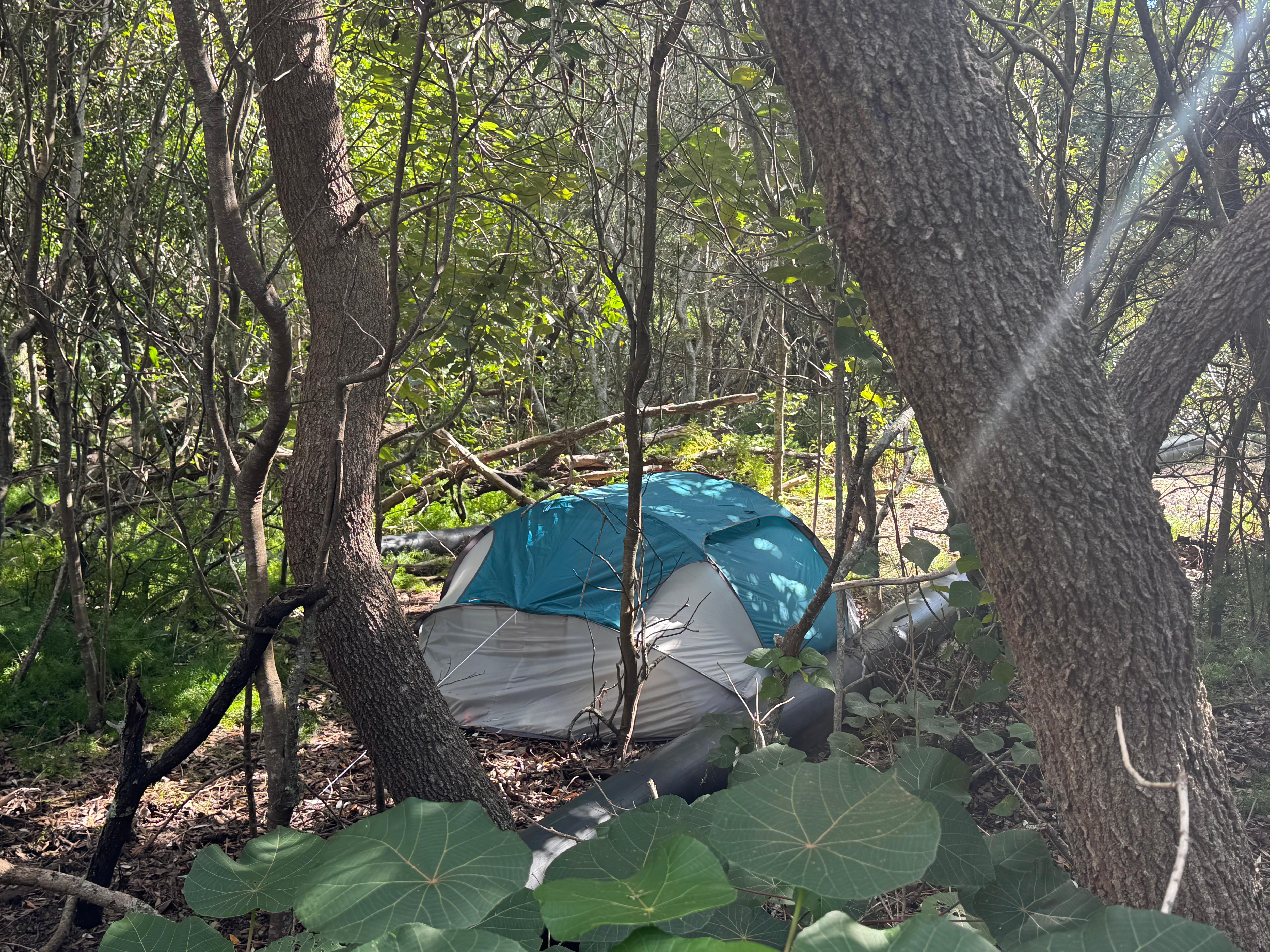 a picture of a tent in the park